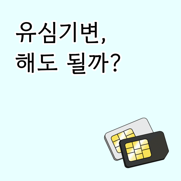  유심기변, 정말 해도 될까?