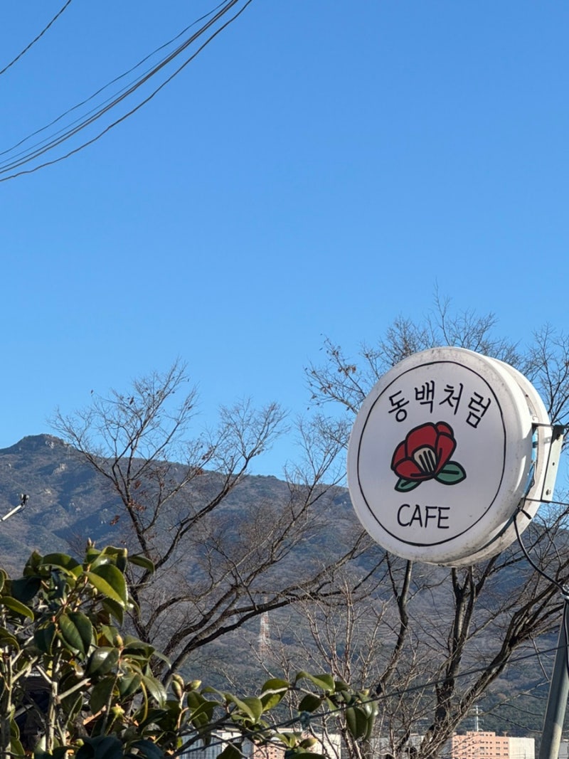 사진 3