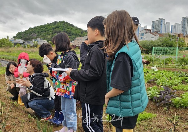  순천시, 치유형 가족사랑 도시텃밭 체험 참여가족 모집