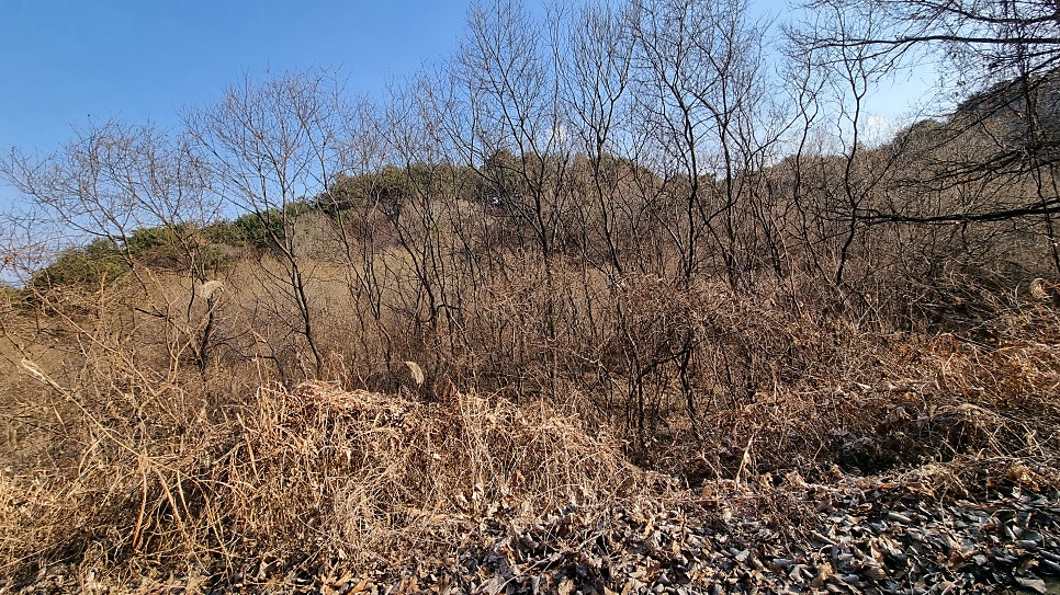 입암저수지 사진 4