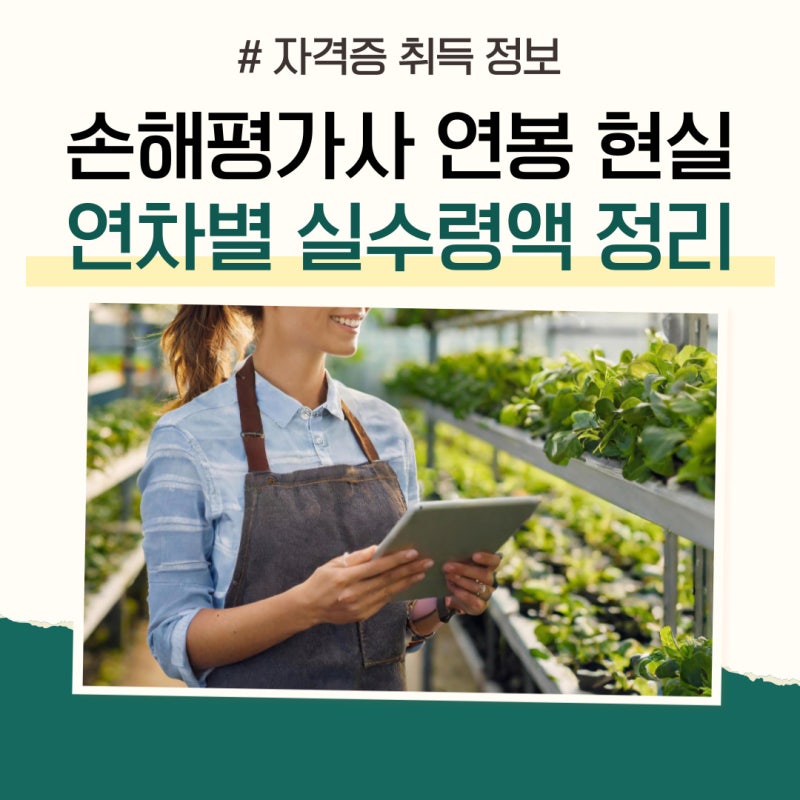 손해평가사 연봉 현실 및 연차별 실수령액 정리
