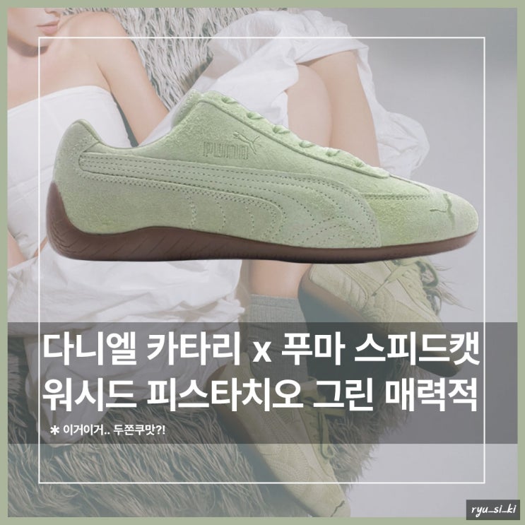 두쫀쿠 맛? 다니엘 카타리 푸마 스피드캣 워시드 피스타치오