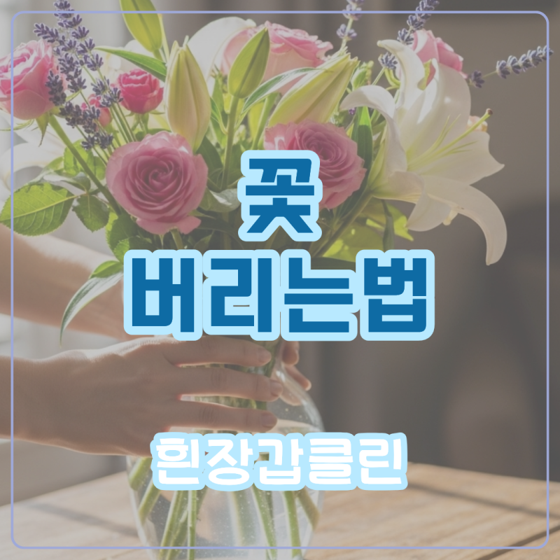 꽃 버리는법 꽃다발 처리하는법