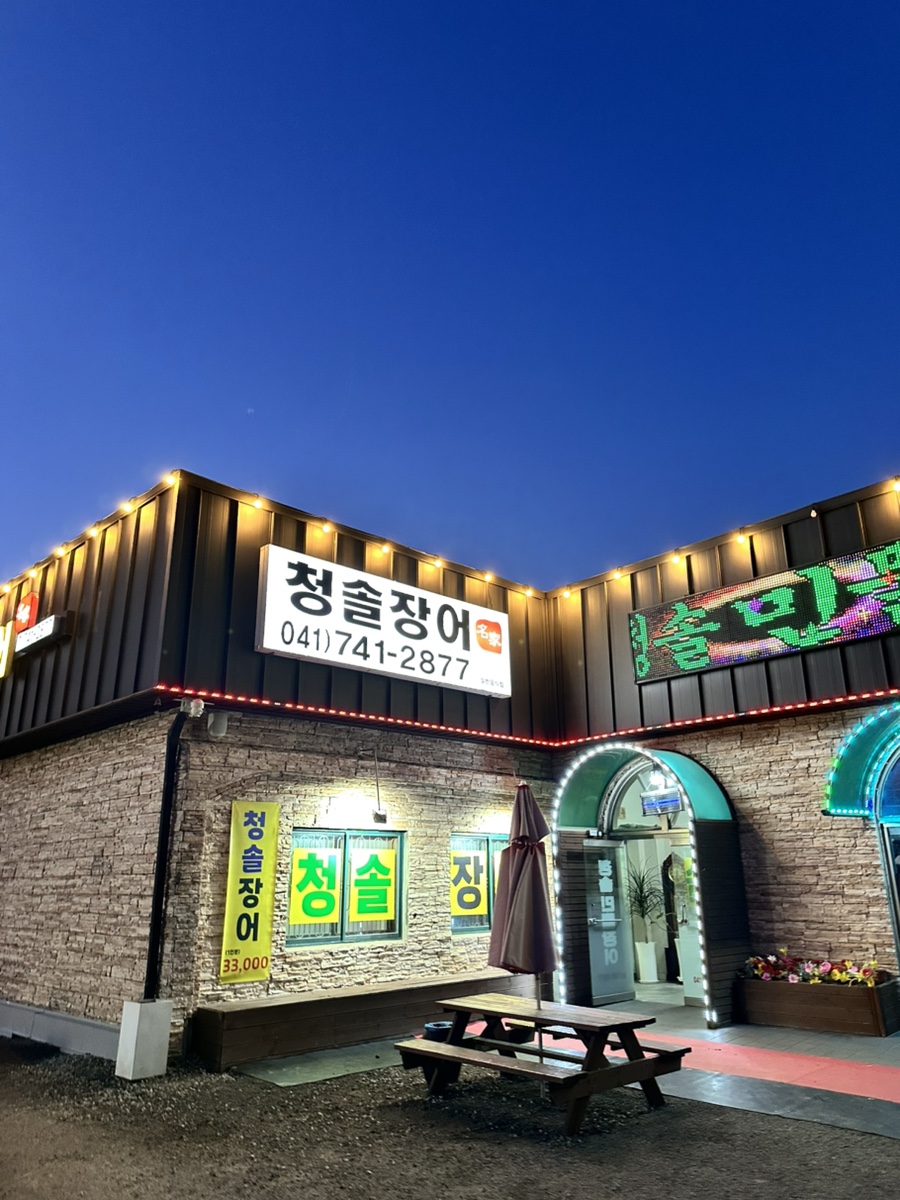 청솔장어 사진 1