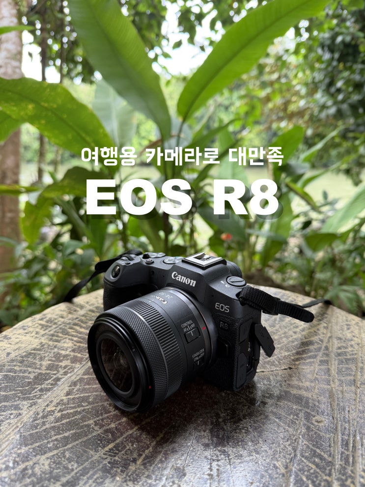  캐논 EOS R8 풀프레임 미러리스 카메라 여행용 추천