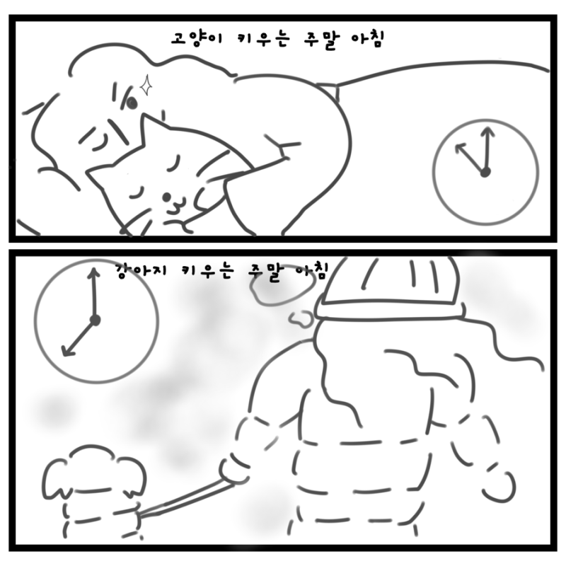 사진 3