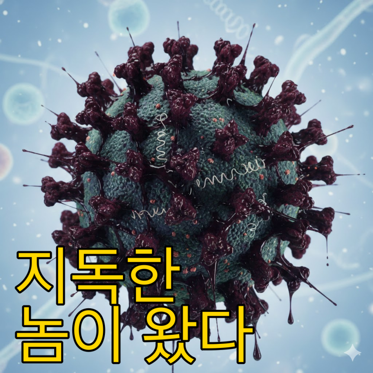  B형 독감 증상 순서와 격리 기간, 지독한 2주의 기록