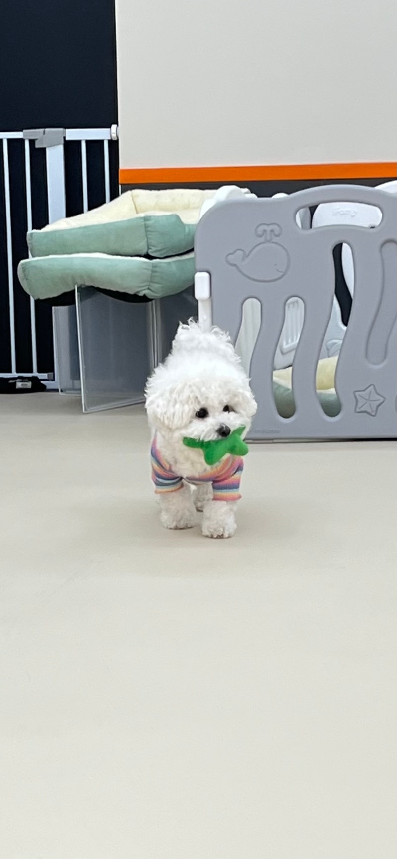 사진 2