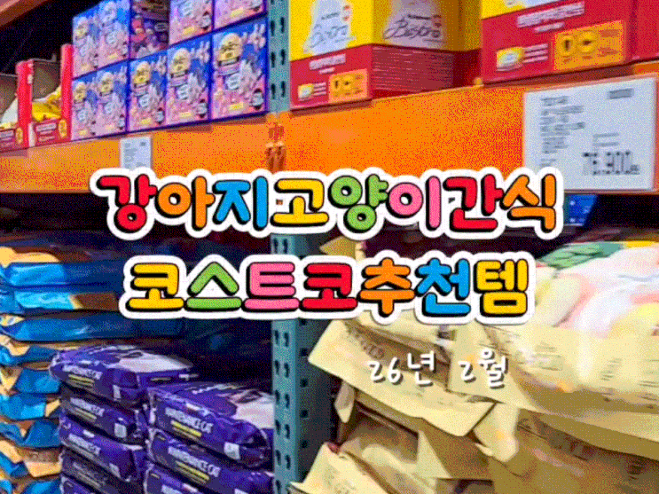  코스트코 고양이 강아지 간식 추천 할인하는 애견용품 2월