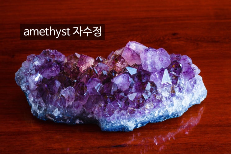  영어 성경: 출애굽기 주요 영한 표현 3: gore, pervert, invoke, unleavened bread, tabernacle, clasp 한국어 뜻