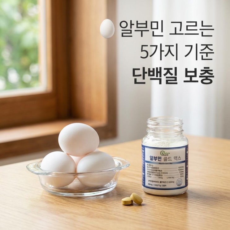   알부민 고르는 5가지 기준 | 단백질 보충