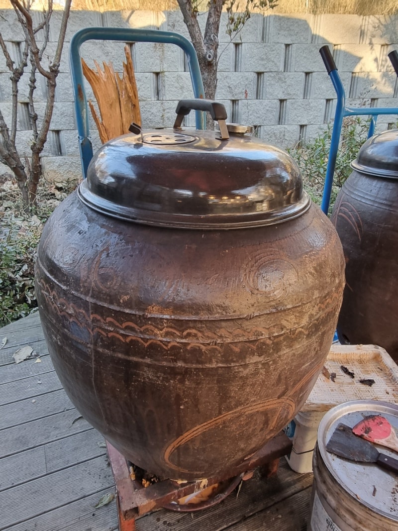 사진 8