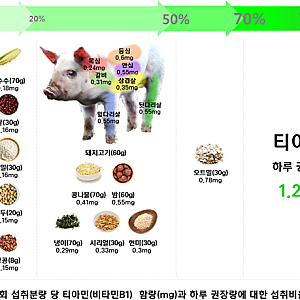 비타민 B1 (티아민) : 기능 및 효능, 결핍원인 및 결핍증상, 풍부한 음식, 보충제 선택 방법