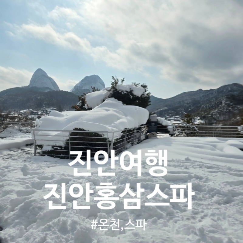 Jinan Red Ginseng Spa: Recommended for Family Winter Trips to Jeonbuk Hot Springs
