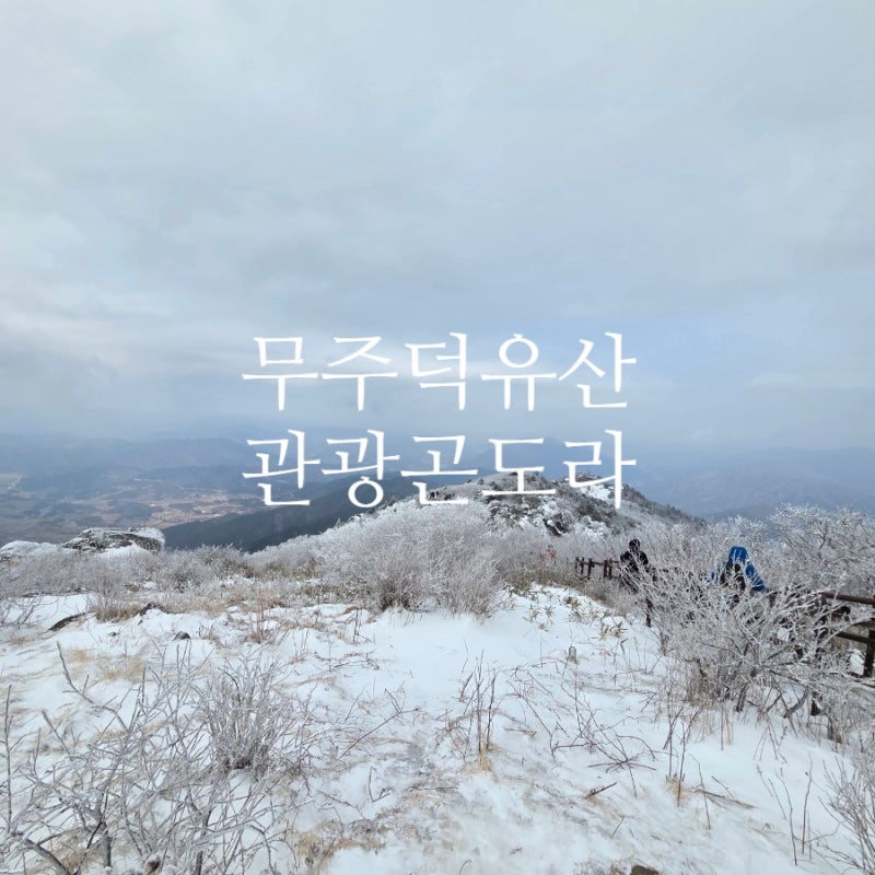 무주 덕유산 곤도라 타고 향적봉까지 다녀온 후기