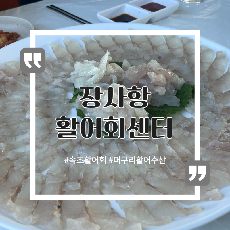 속초 장사항 활어회센터 후기 (머구리활어 수산)