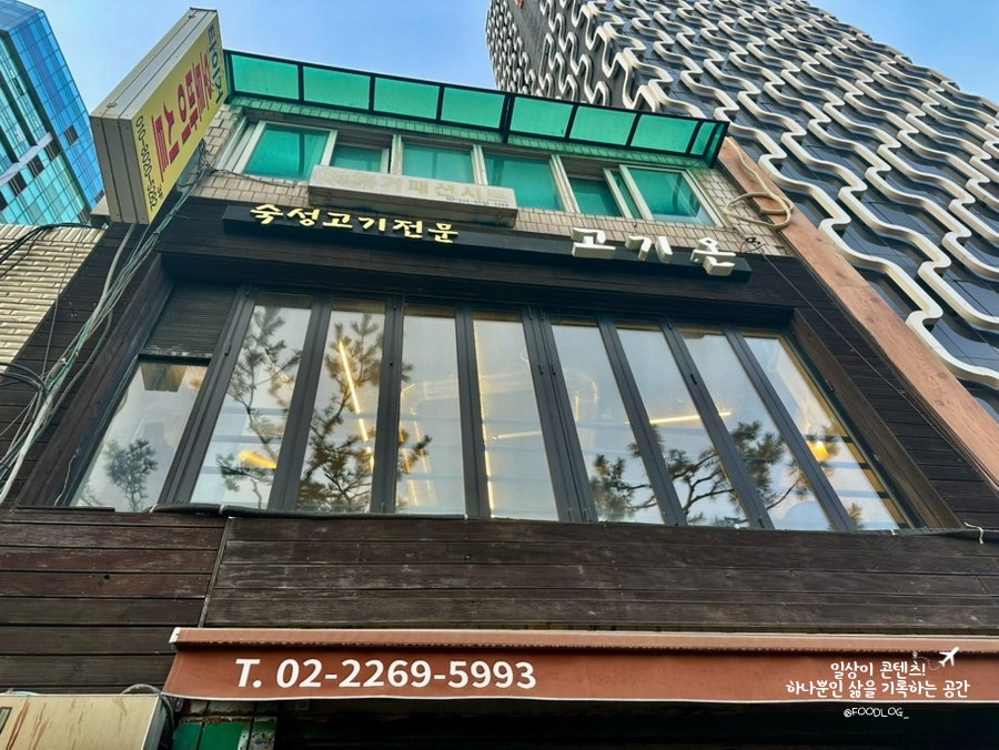 고기온 사진 2