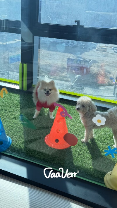 사진 3