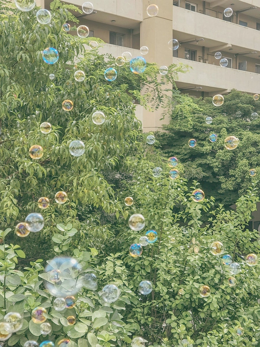 리엠피레 사진 6