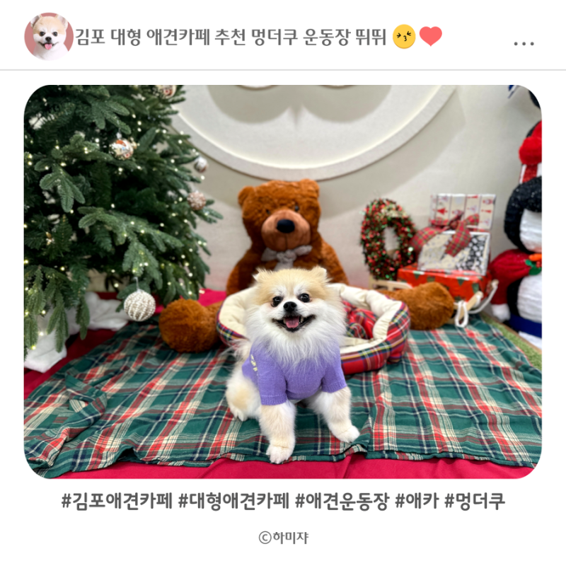 사진 3