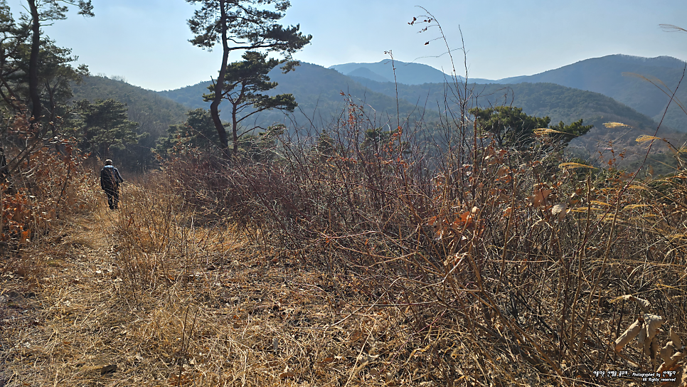 채약산 사진 1