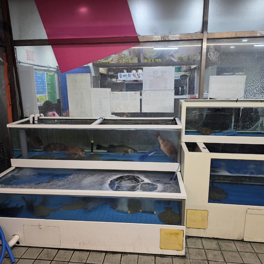 옵바위횟집 사진 3