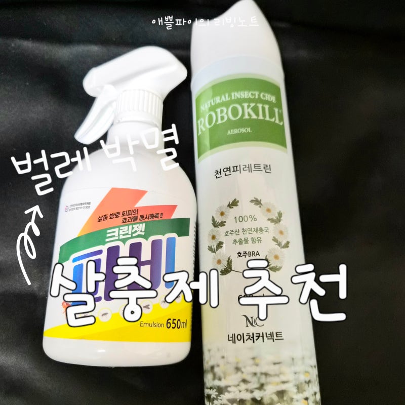 살충제 추천, 거미 퇴치 벌레 박멸 쉽게 하는 법