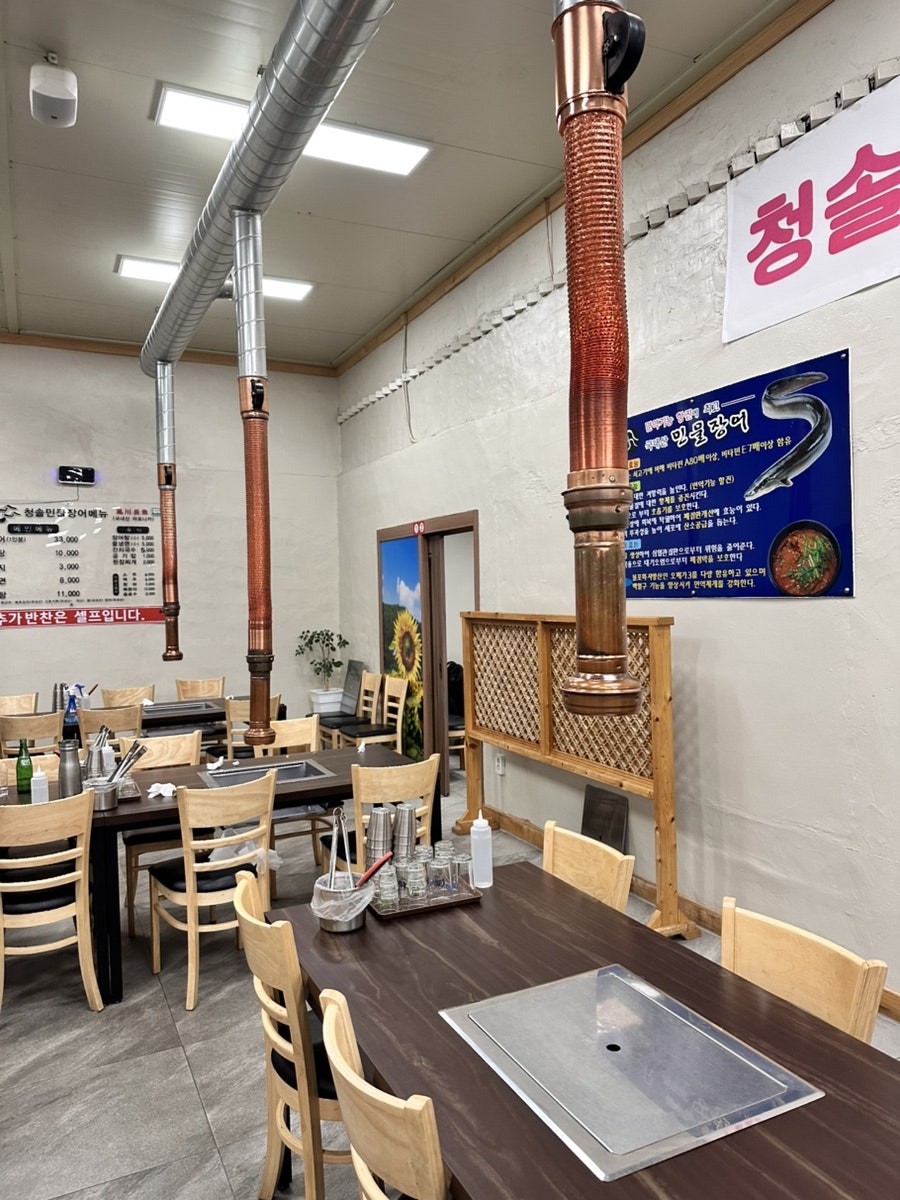 청솔장어 사진 4