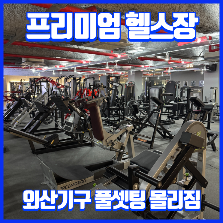  대구 두류역 프리미엄 헬스장 몰리짐, 24시간 연중무휴, 머신 맛집!