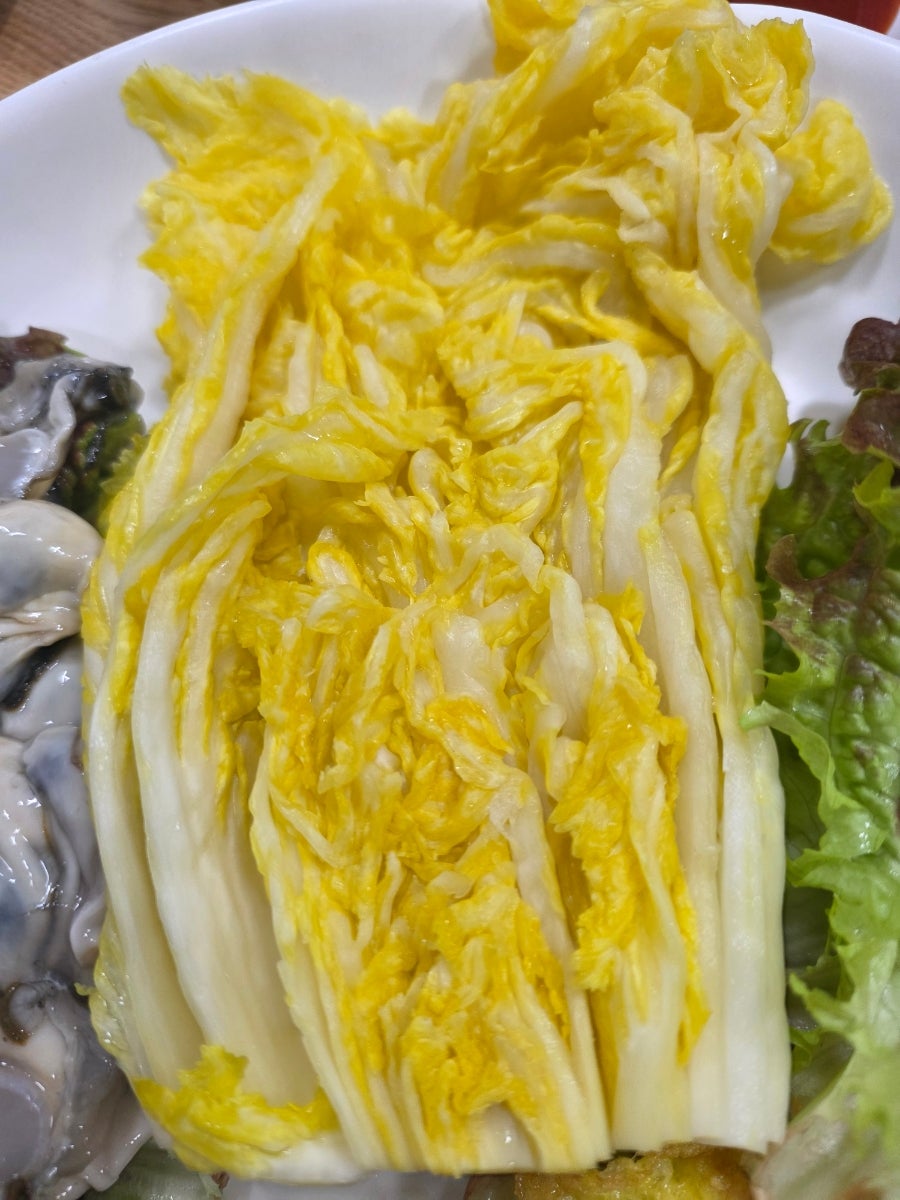 굴따개 사진 4