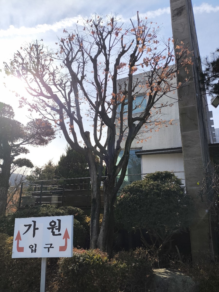 가원 사진 1