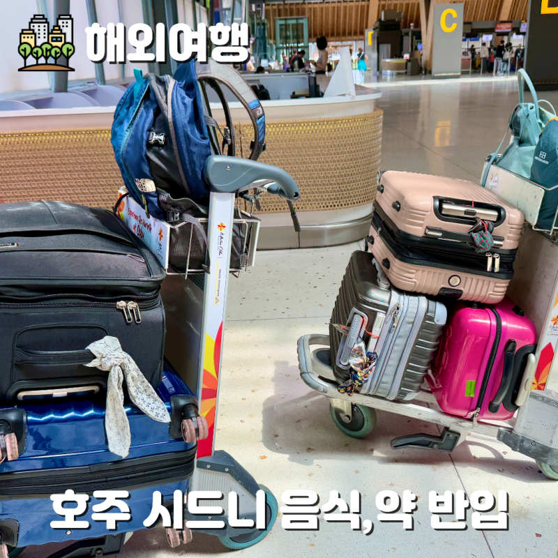 호주 시드니 가족여행 준비물: 음식물 가능 의약품 반입 영문처방전