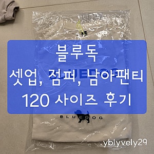 블루독 봄 가을 상하복 셋업 및 점퍼 남아 팬티 구매 후기 (6세, 3세)