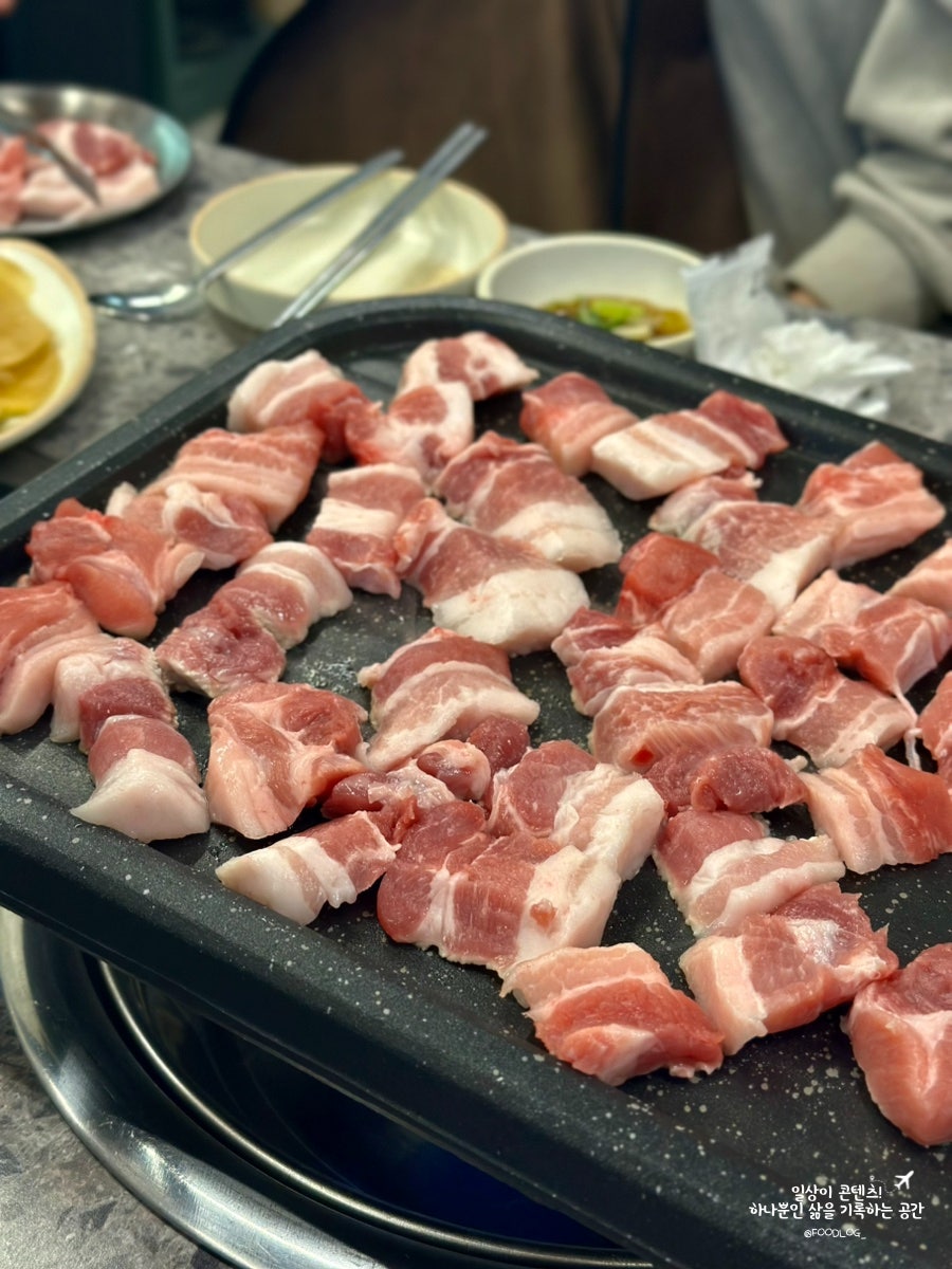 고기온 사진 5