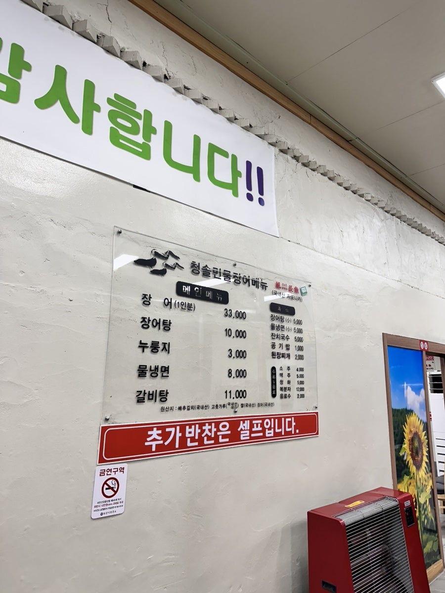 청솔장어 사진 6