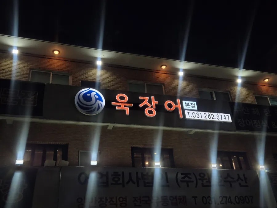 욱장어 사진 2