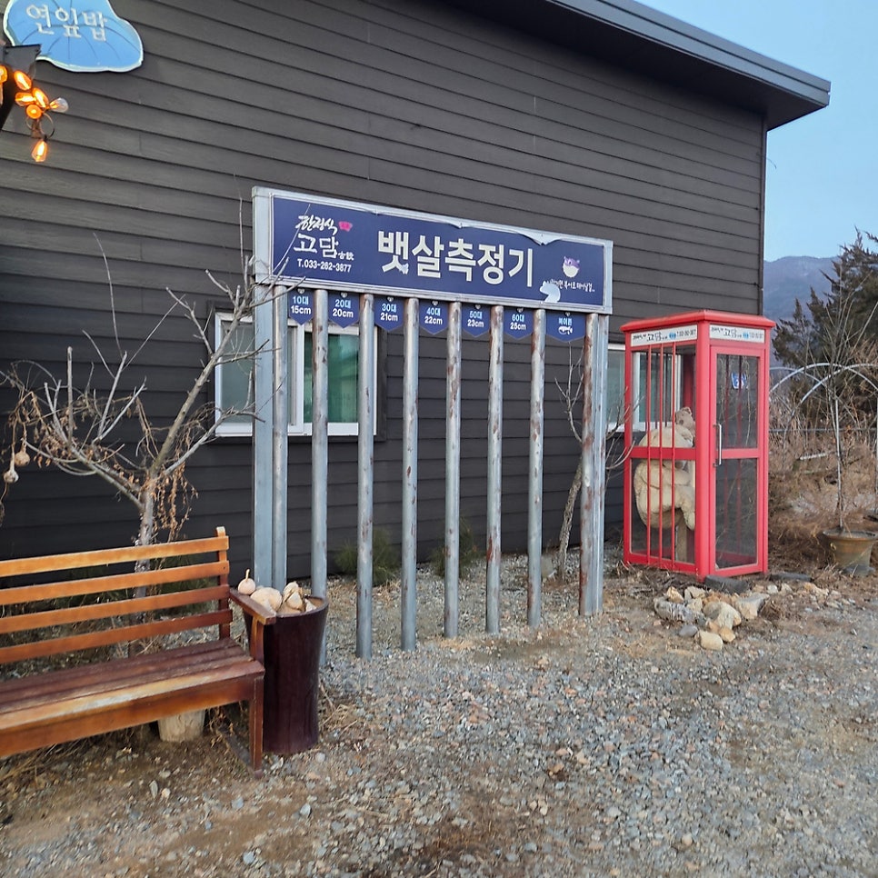 고담한정식 사진 3