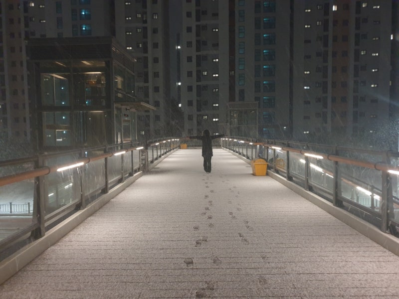 여백 (정동원)