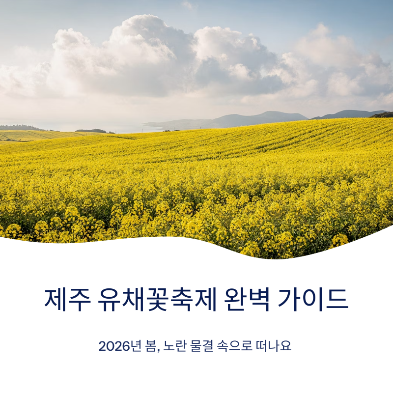 제주 유채꽃축제 일정 & 꿀팁 총정리, 꼭 가봐야 할 명소는?