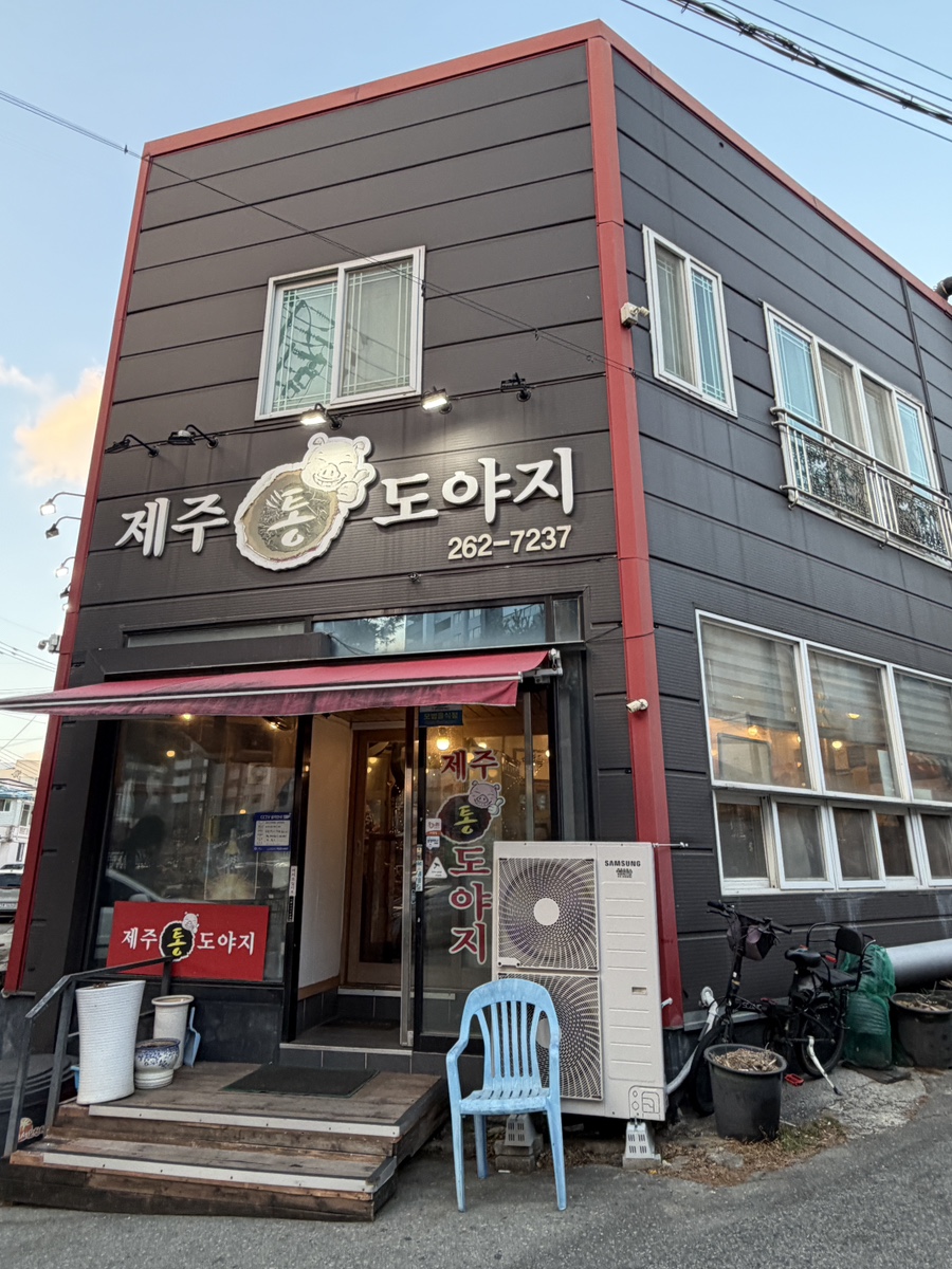 제주통도야지 사진 1