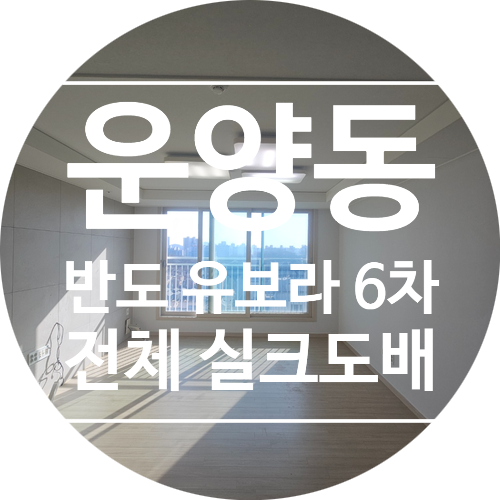  운양동반도유보라6차아파트   전체실크도배 시공후기 KS벽지 이룸2124-1화이트 2120-6 웜그레이 디테일 벽지
