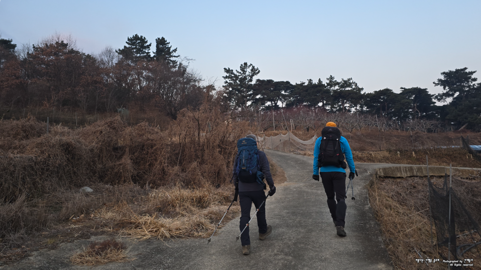 채약산 사진 6