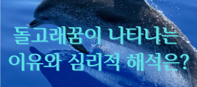 돌고래꿈이 나타나는 이유와 심리적 해석은?