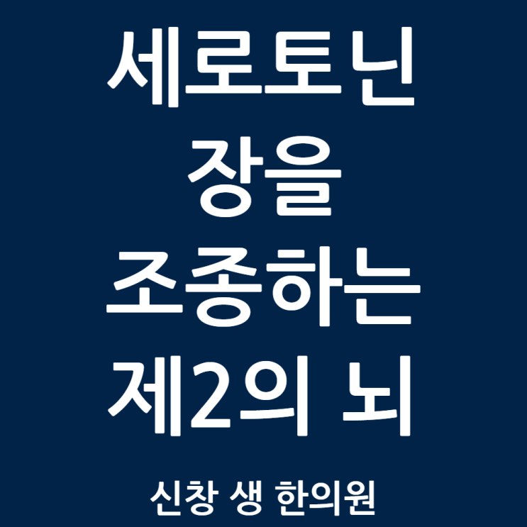  광주 과민성 대장 증후군 한의원, 스트레스만 받으면 복통·설사? 과민성 대장 증후군과 '장-뇌 축'의 비밀 (2026 최신) 신창동 신가동 수완지구 첨단 상무지구