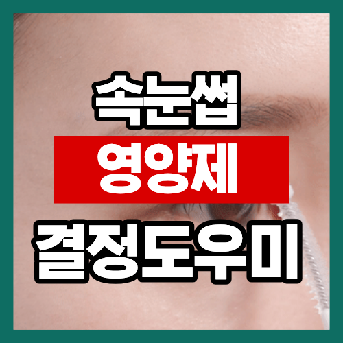 벤튼 어니스트 아이래쉬 세럼 10ml 속눈썹 관리 포인트 총정리