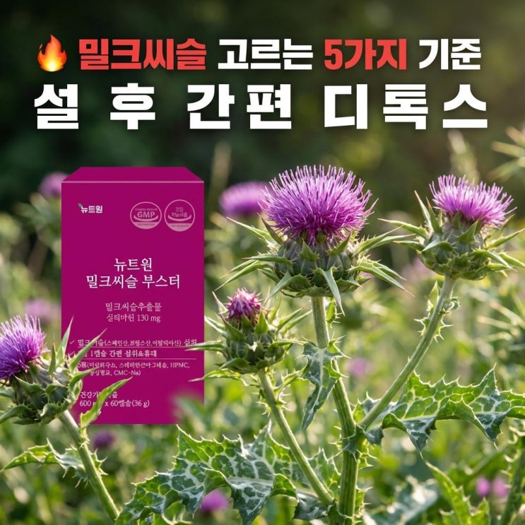  밀크씨슬 고르는 5가지 기준 | 설 후 간편 디톡스
