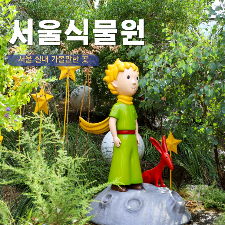  마곡 서울식물원 겨울 서울 실내 가볼만한 곳 나혼자산다 촬영지