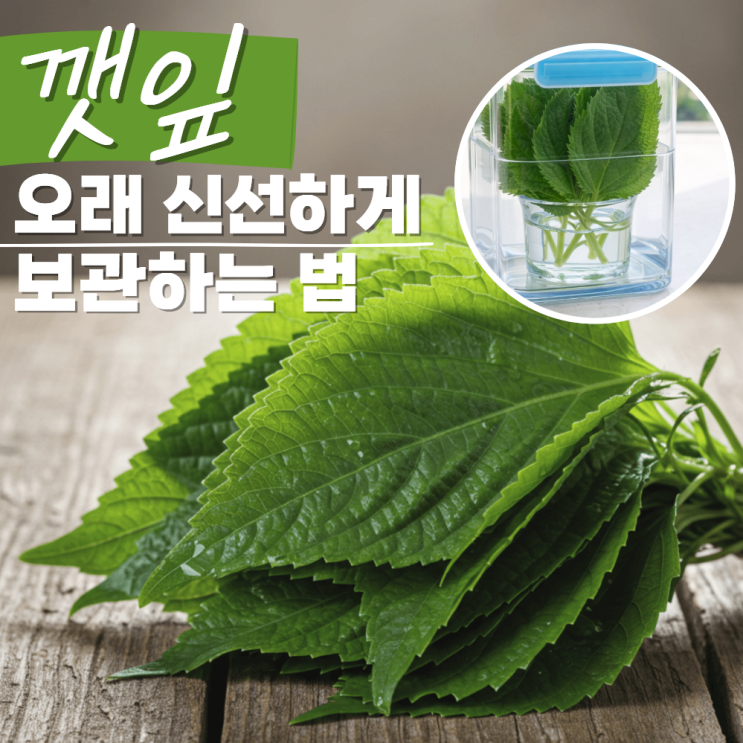  깻잎 보관법 오래 보관 방법 반점 이유