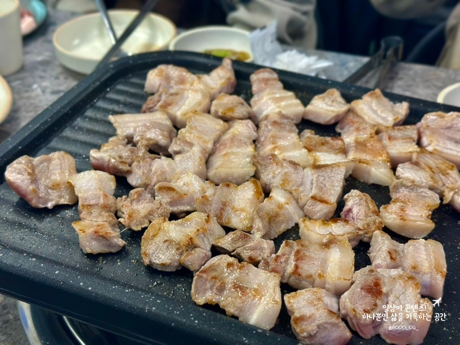 고기온 사진 6