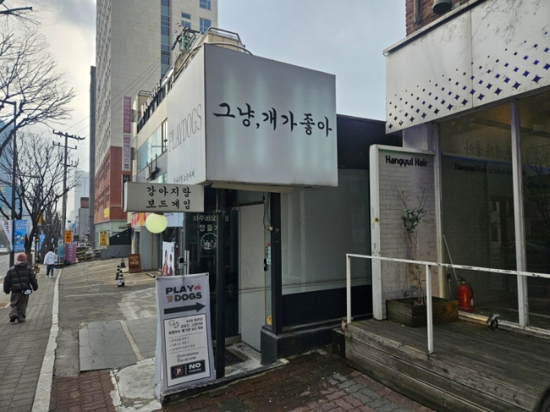사진 6